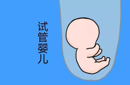 主案例